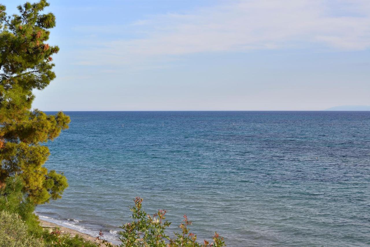 Summerday Villa Private Beach Νέα Ηράκλεια Εξωτερικό φωτογραφία